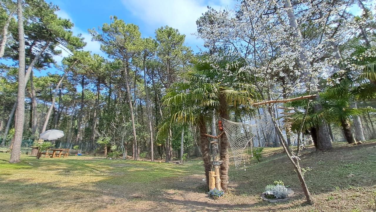 Villa Barbara Fra I Pini Lignano Sabbiadoro Exteriör bild